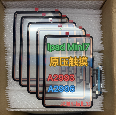 iPad Mini 7 A2993 A2995 A2996 Ön Cam Dokunmatik Lens Ocalı